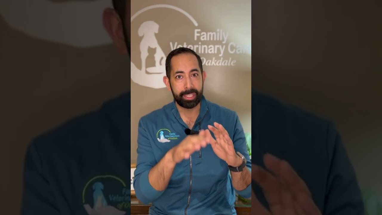Dog & Cat Ear Infections explained by Vet Dr. Ram Singh  #animalhealth #veterinarian #vetmed