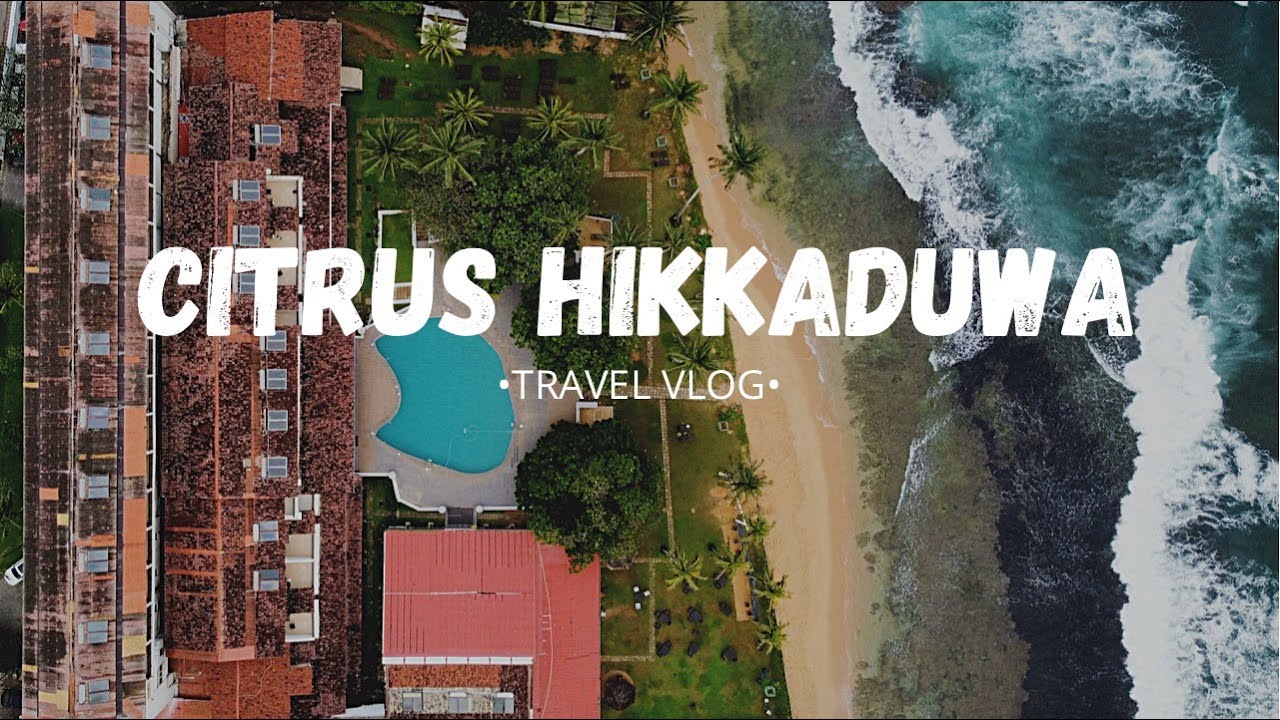 Citrus HIkkaduwa | Japanese Peace Temple | Sri Lanka Glory Shipwreck
