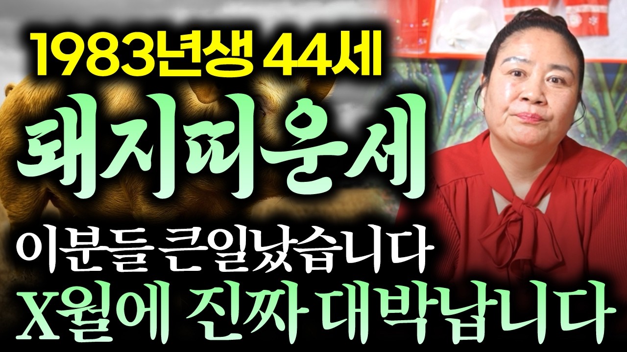 꼭 시청하세요..!! 2026년 1983년생 44세 돼지띠운세 X월에 진짜 대박납니다! 83년생 돼지띠의 운명과 평생의 운세 / 2026년 병오년 44세 돼지띠 운세