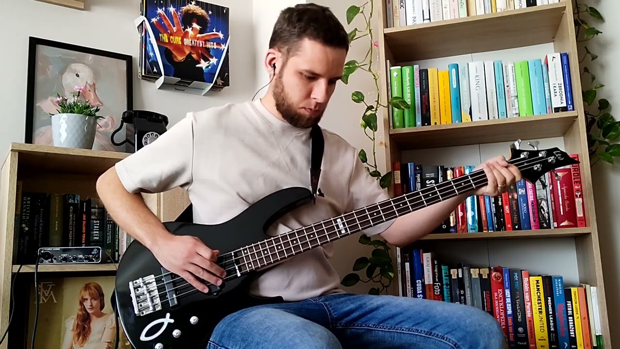 Billie Eilish - BIRDS OF A FEATHER (bass cover)