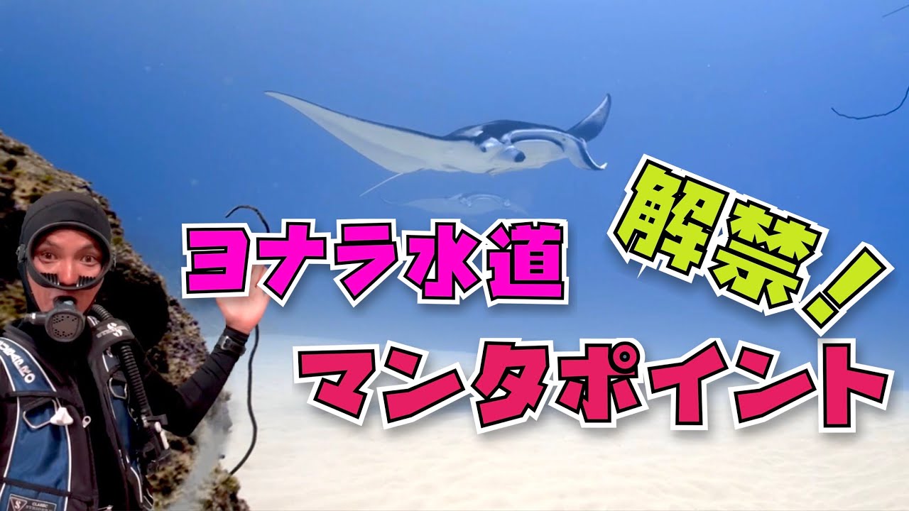 ヨナラ水道 マンタポイント　解禁日に潜ってきました！！
