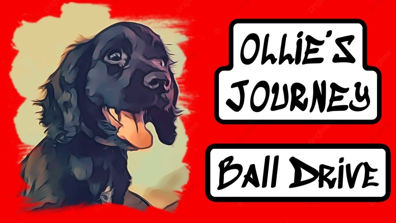 Ollie’s Journey: Ball Drive