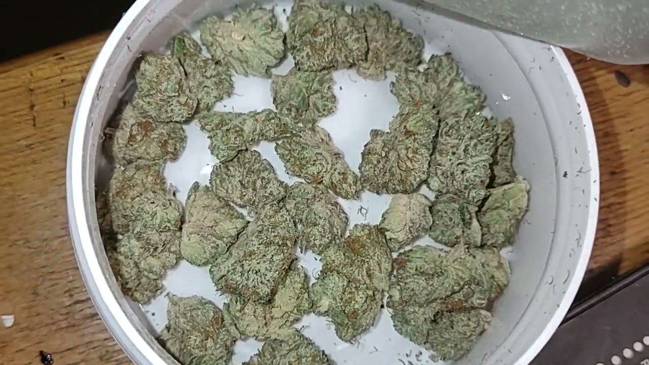 High Supply - Triangle Mints 7g popcorn 24%. IL medical 🔥🔥🔥