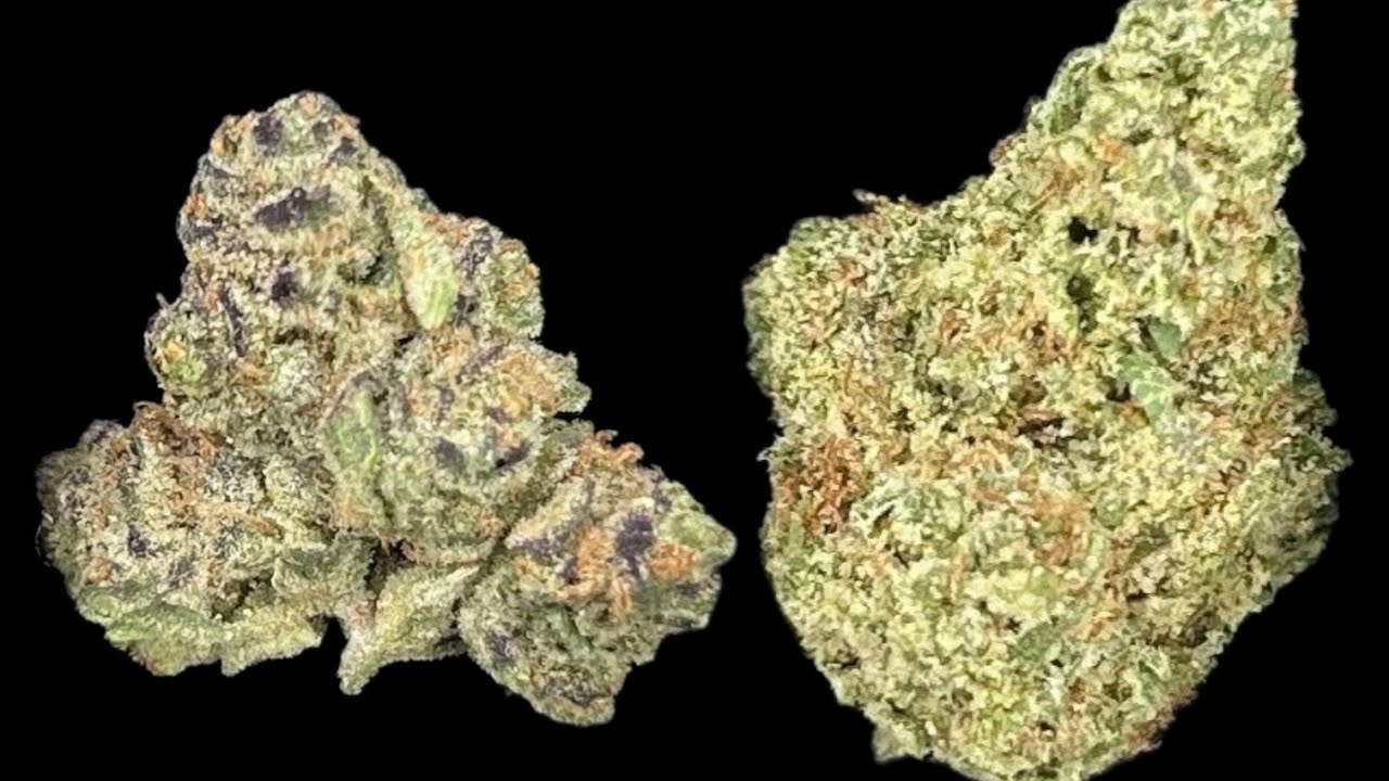 THCA Hemp Flower Pounds | Cheapest Legal Wholesale Touchdown Ever