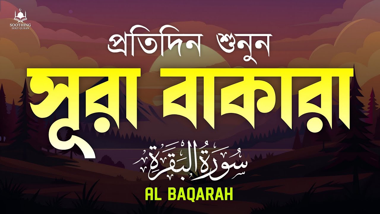 প্রতিদিন শুনুন সূরা বাকারা (سورة البقرة) | Surah Baqarah Full Tilawat | Peaceful & Relaxing Quran