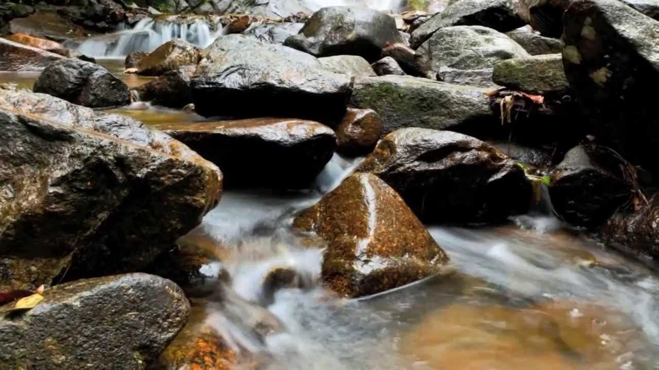 VIS Trinity - Prava Istina (lyrics)