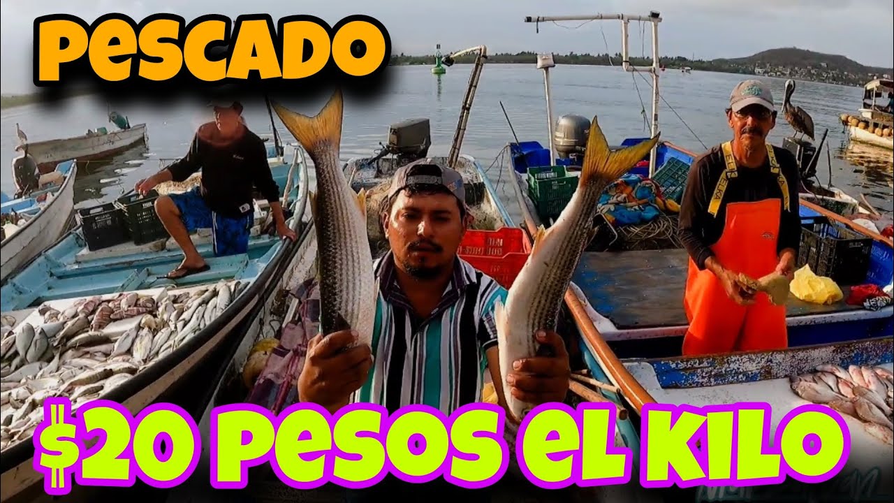 mercado de pescado súper económico EN pangas De MAZATLÁN