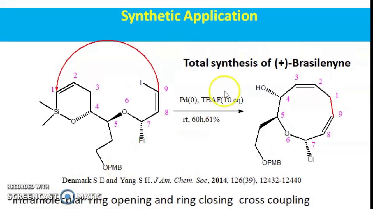 HIYAMA COUPLING REACTION