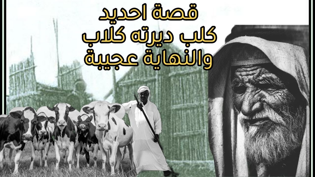 حديد نهب القرية وقرر ينتقم منهم .. قصة ريفية بصوت حيدر السيد