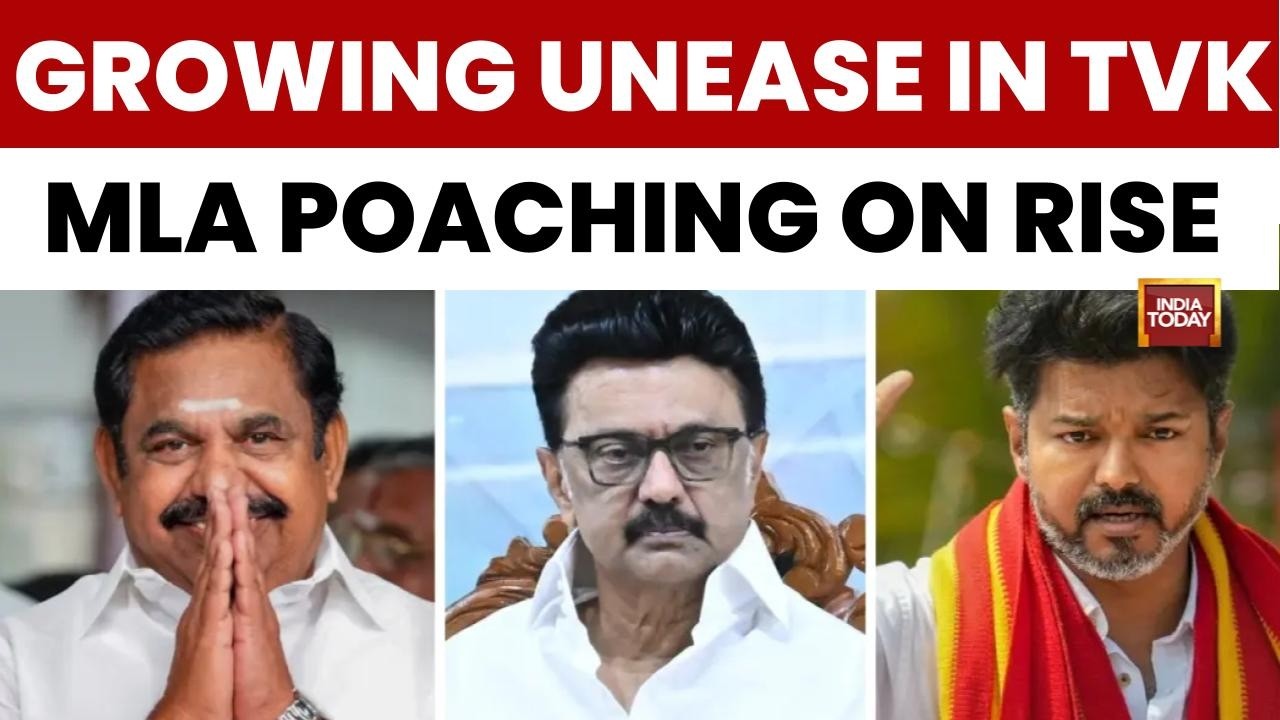 Vijay News: VCK & Left Parties To Decide On TVK Support; DMK Prepared To Let Go Of Allies