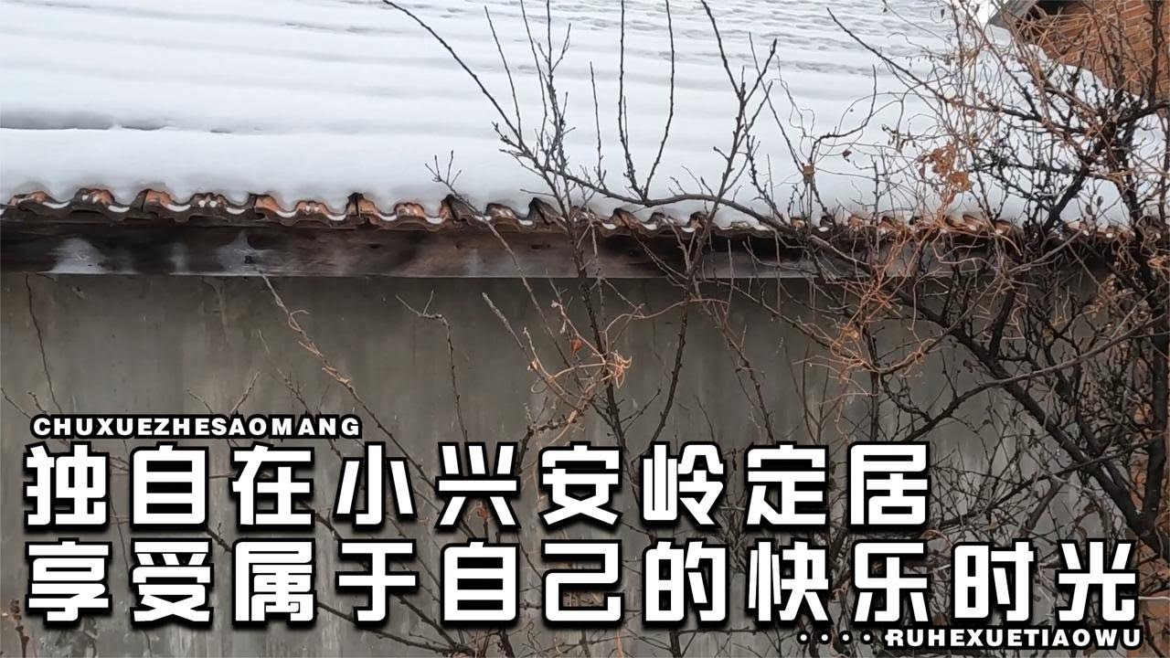 远离城市和钢筋水泥，独自在小兴安岭定居，过着粗茶淡饭的生活