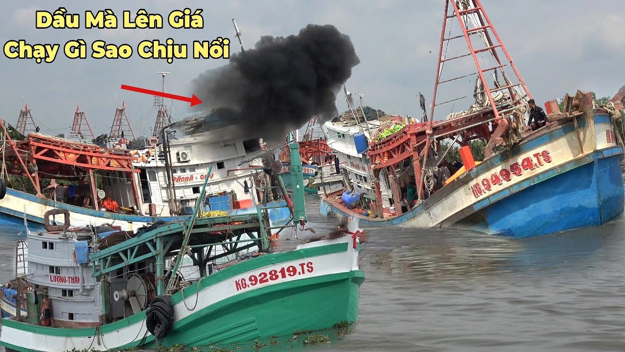 Hay Tin Dầu Giảm Giá Tàu Biển Ùm Ùm Kéo Nhau Ra Biển 