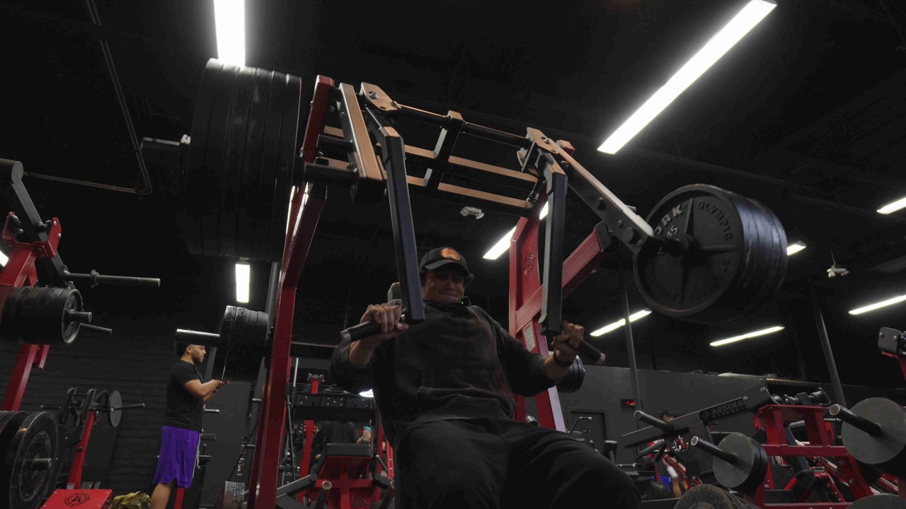WILD BABA IN ZOO CULTURE