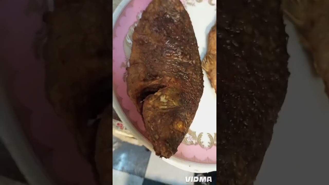 طريقه عمل سمك بلطي مقلي اريد صيدليه سمك وزاره الخضراء