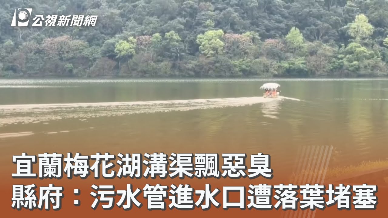 宜蘭梅花湖溝渠飄惡臭 縣府：污水管進水口遭落葉堵塞｜20260310 公視午間新聞