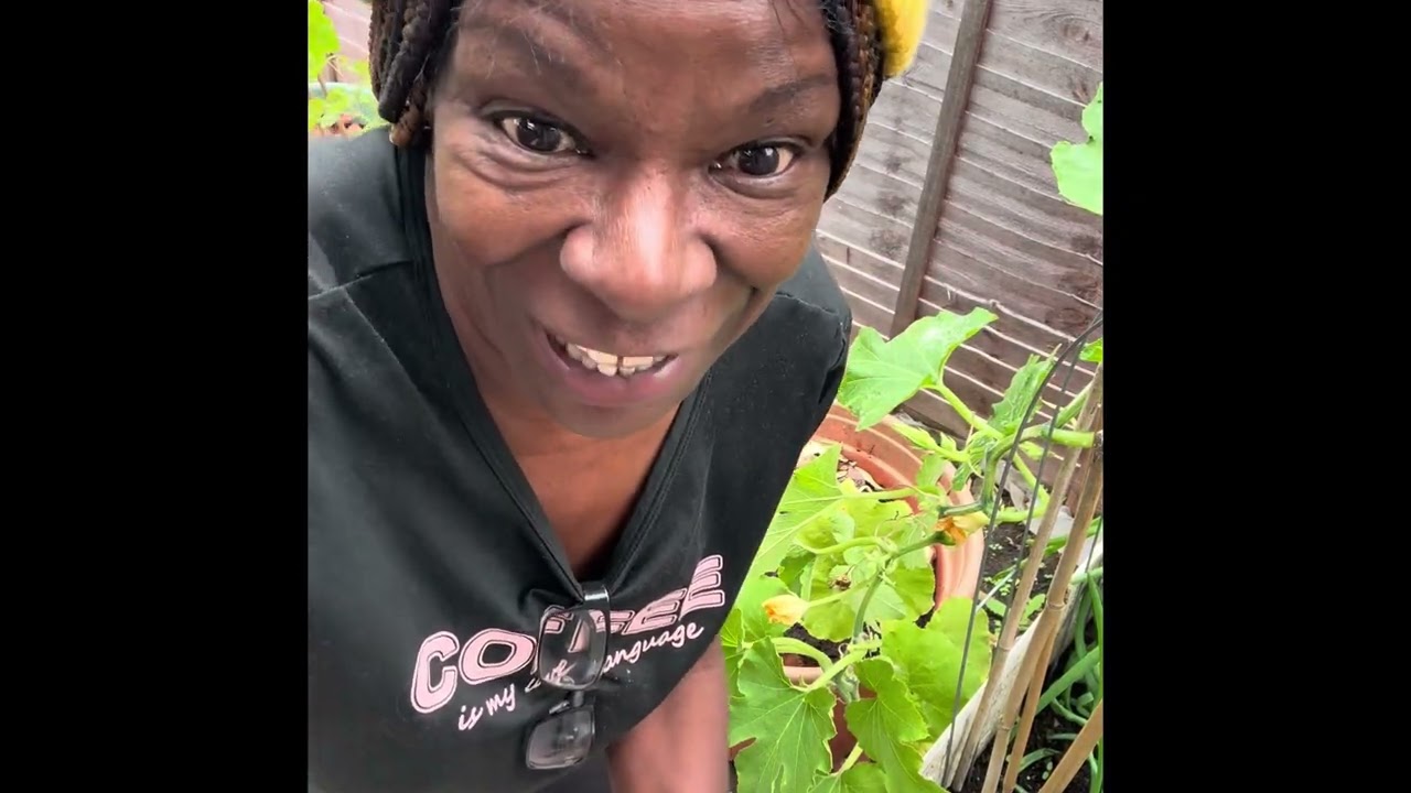 Grown my Pumkin and relocate with me