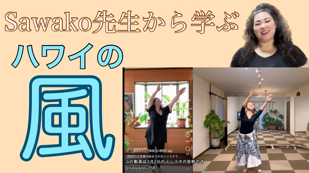 ハワイの風を感じるハンドモーションNo601