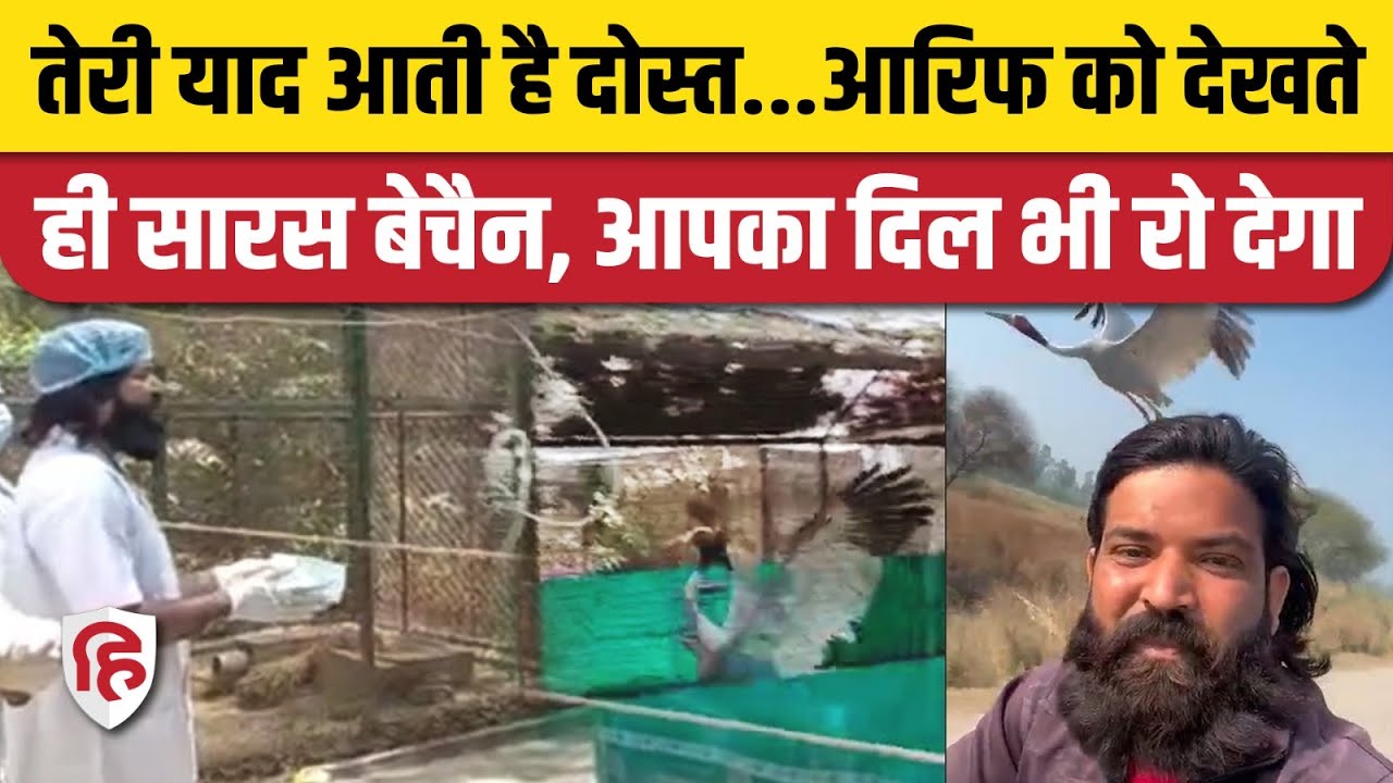Arif Saras Dosti: Kanpur Zoo में सारस से मिलने पहुंचे आरिफ, Emotional कर देगा Video। Amethi