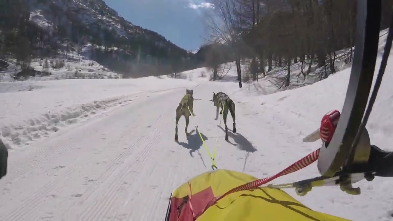 Secondo giorno gara in Francia SP4/ SP2(1)