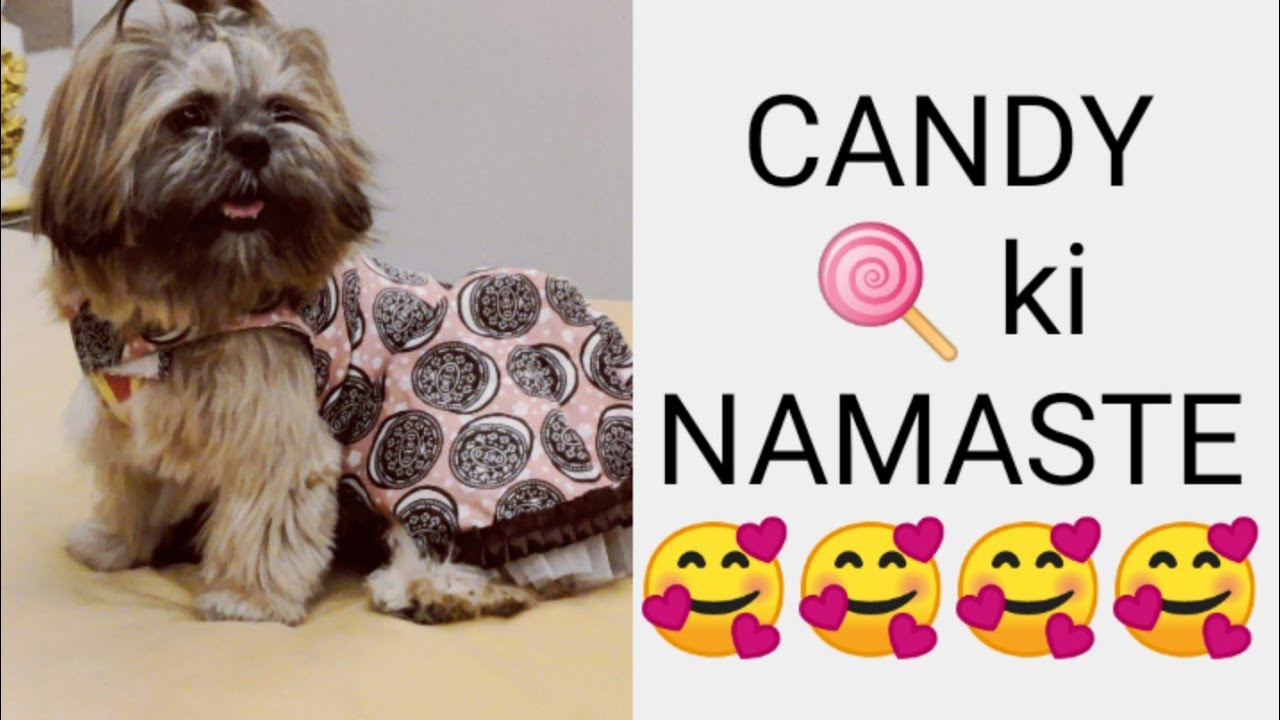 CANDY ki namaste🥰🥰 #rohitvaidwan sir  #rohitvaidwanmasticlub