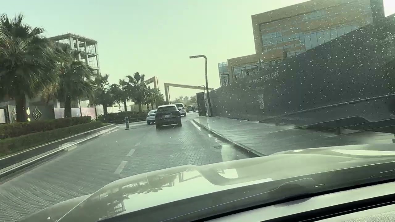 لايسن فالي 