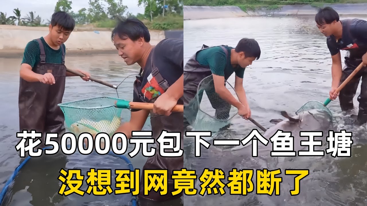 大表哥花50000元包下一个鱼王塘，没想到网竟然都断了？｜花100元包下一艘船去大海里下地笼，没想到竟然装到了鲨鱼？