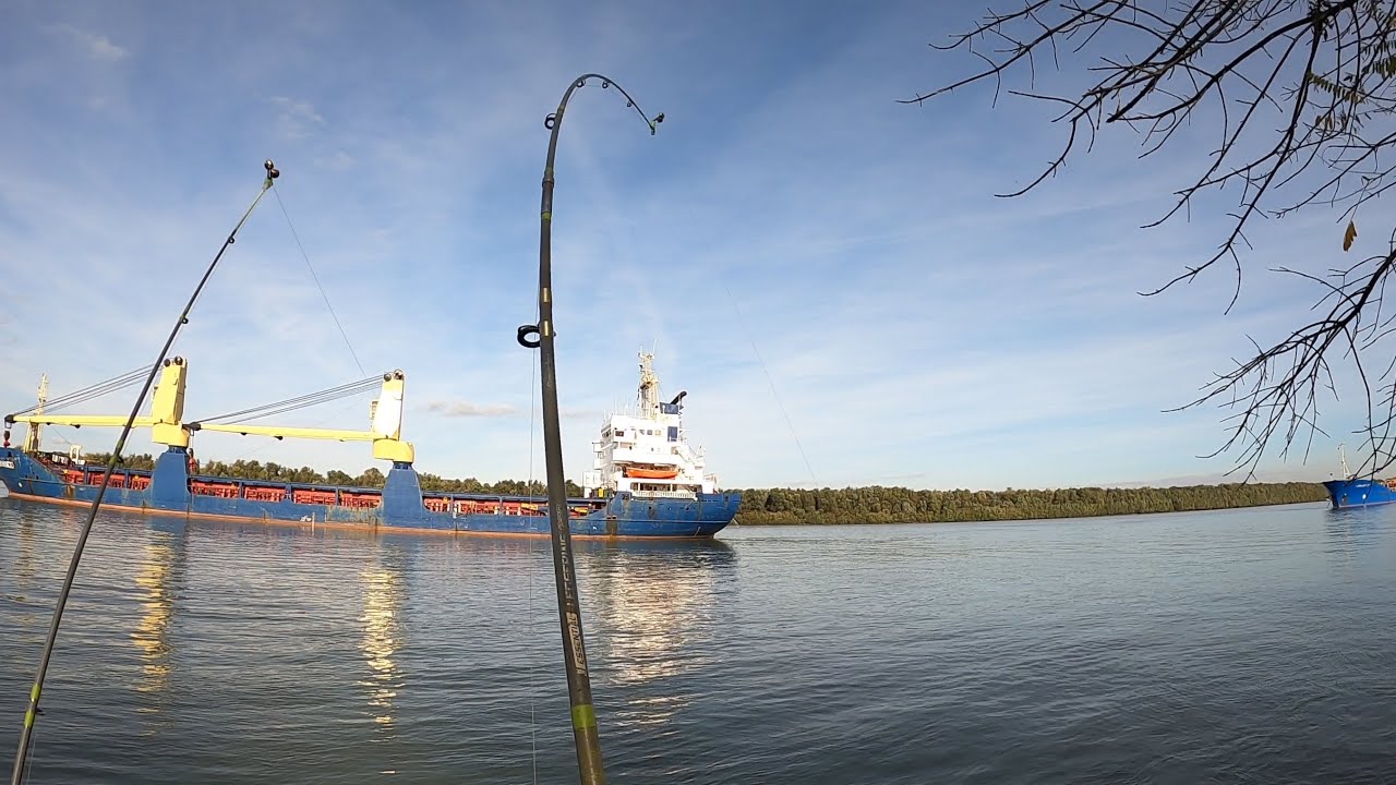Am pescuit în amonte de bifurcația Dunării cu brațul Chilia 🚢