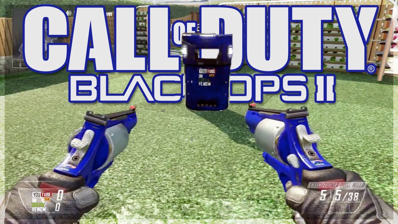 Hidden Camo Glitch on Black Ops 2! - Rainbow / Chameleon Camo (BO2 PS3 Glitches)