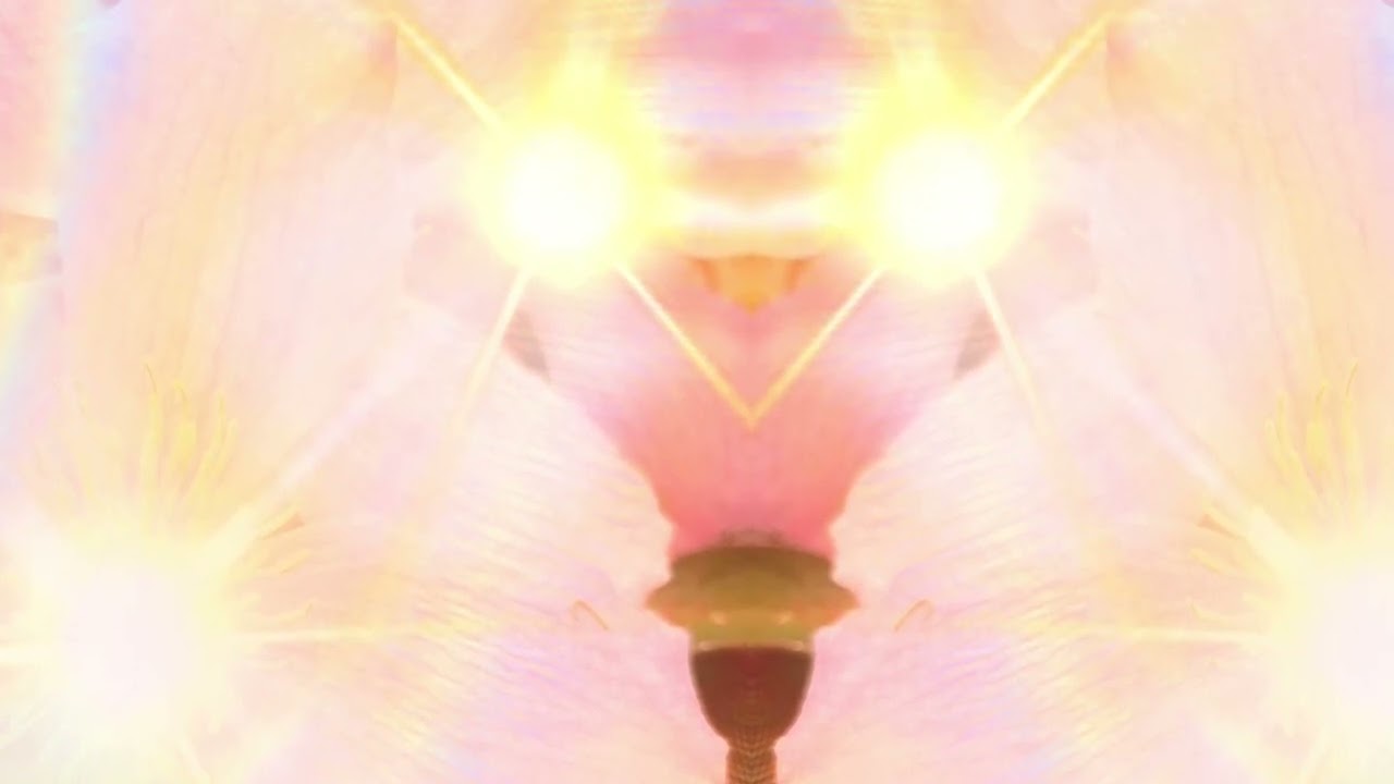 Radiant Miracle Frequency 💖 Open to Your Infinite Possibilities ~ 528hz Sound Healing