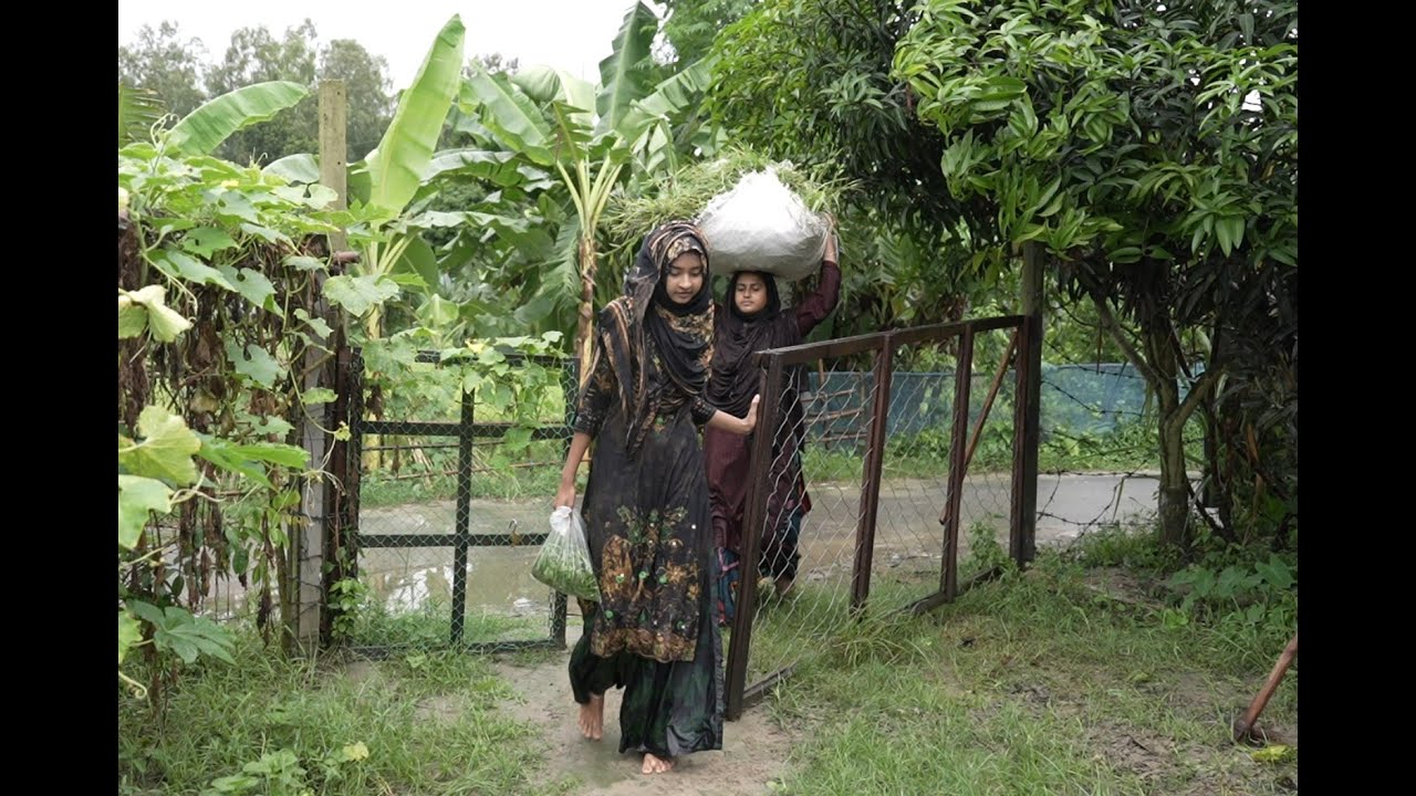 সংসার আমার ভাল্লাগেনা সংসার ভাল লাগে না | Village life with Shampa