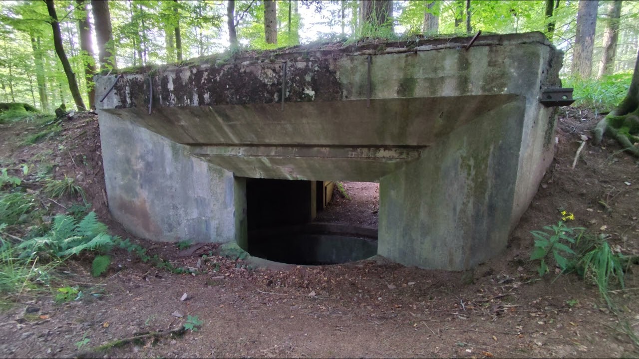 Balade dans les Vosges ‐ Réalisée avec Clipchamp