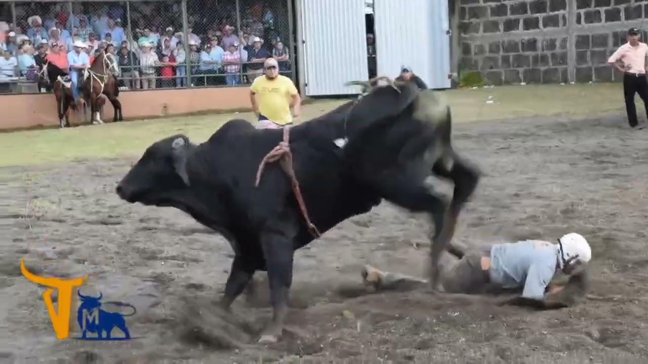Fiestas patronales Boaco 2025