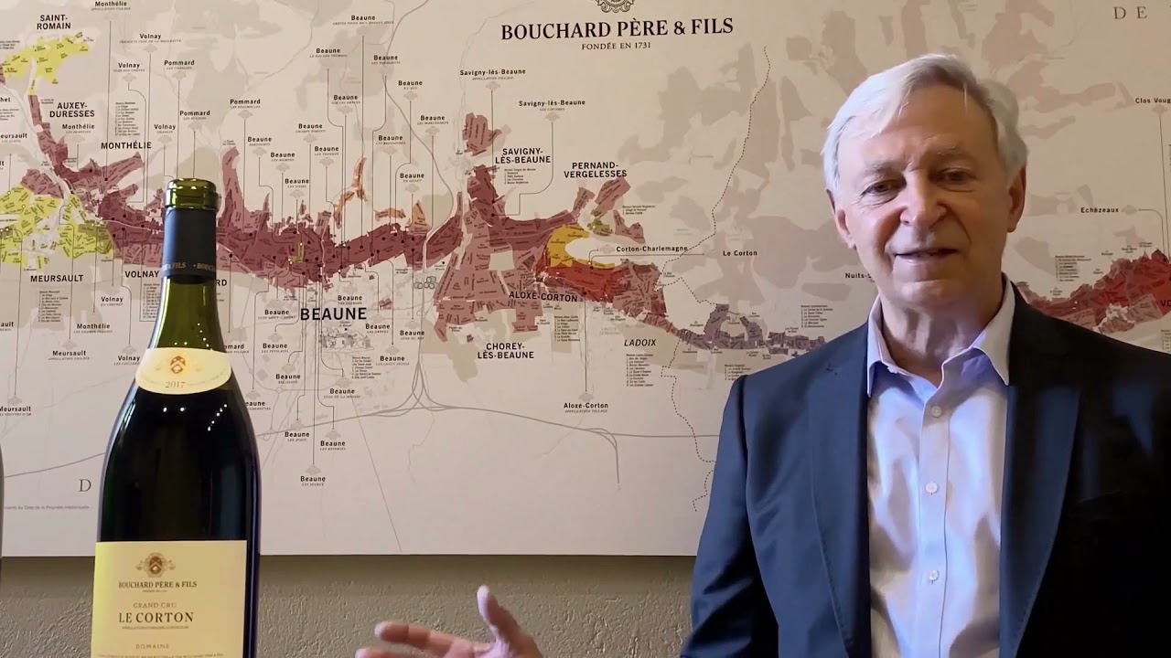 Discover Corton & Corton Charlemagne Estate