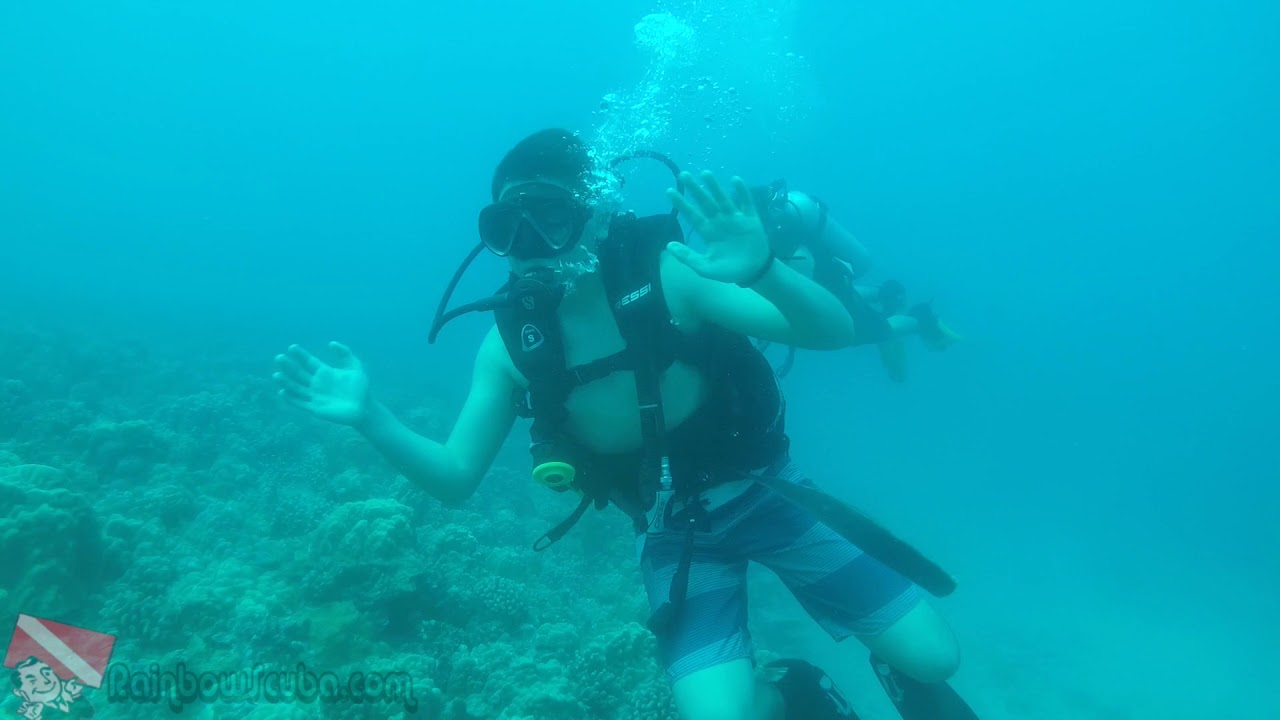 Waikiki Scuba - vlog 247