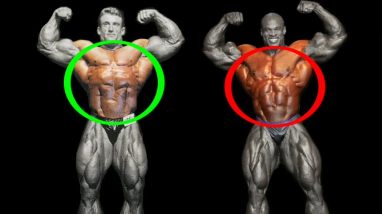 Who Had The Best Torso in Bodybuilding History?