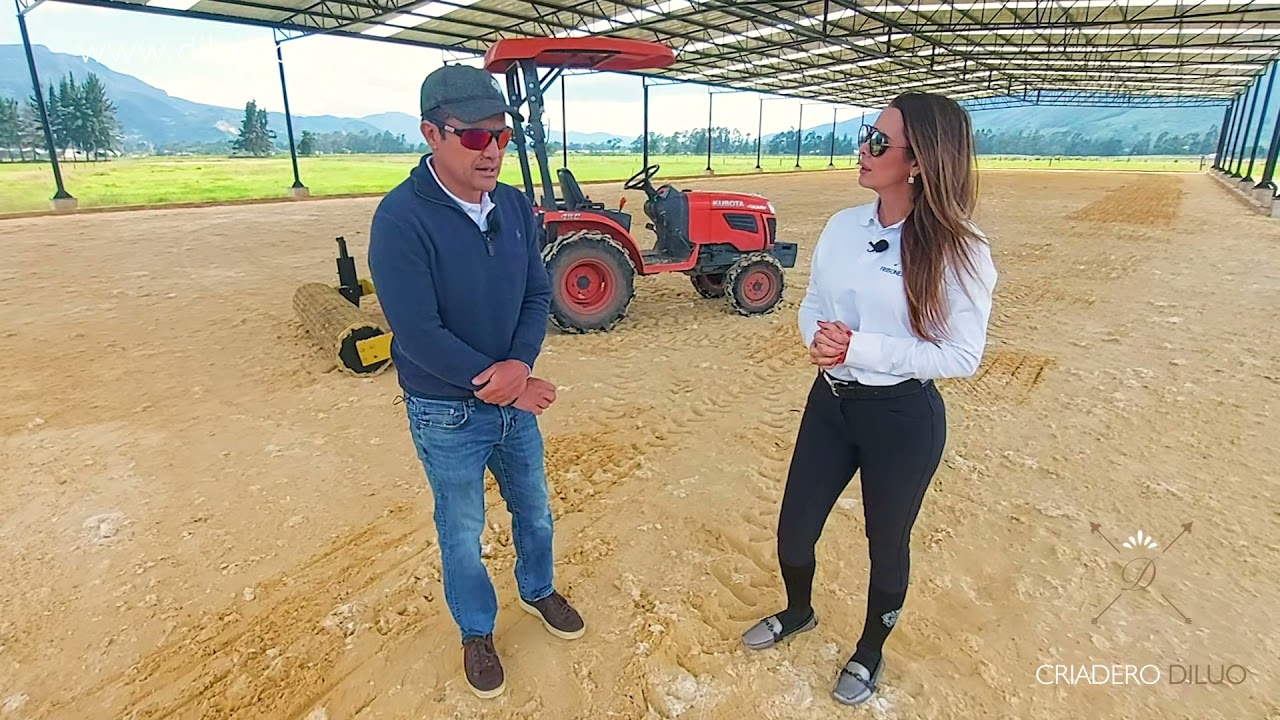 NUEVO PICADERO DILUO