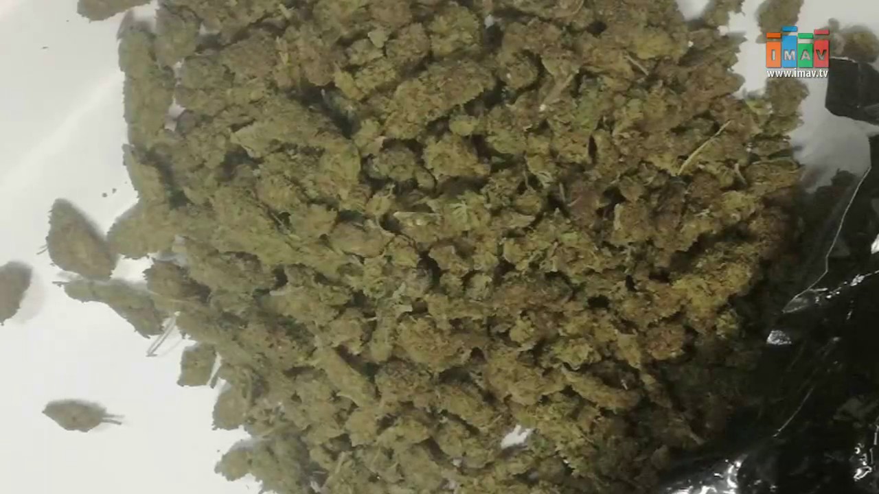 Przewoził w bagażniku kilogram marihuany- Magazyn Miejski 12/09/2017 - imav.tv