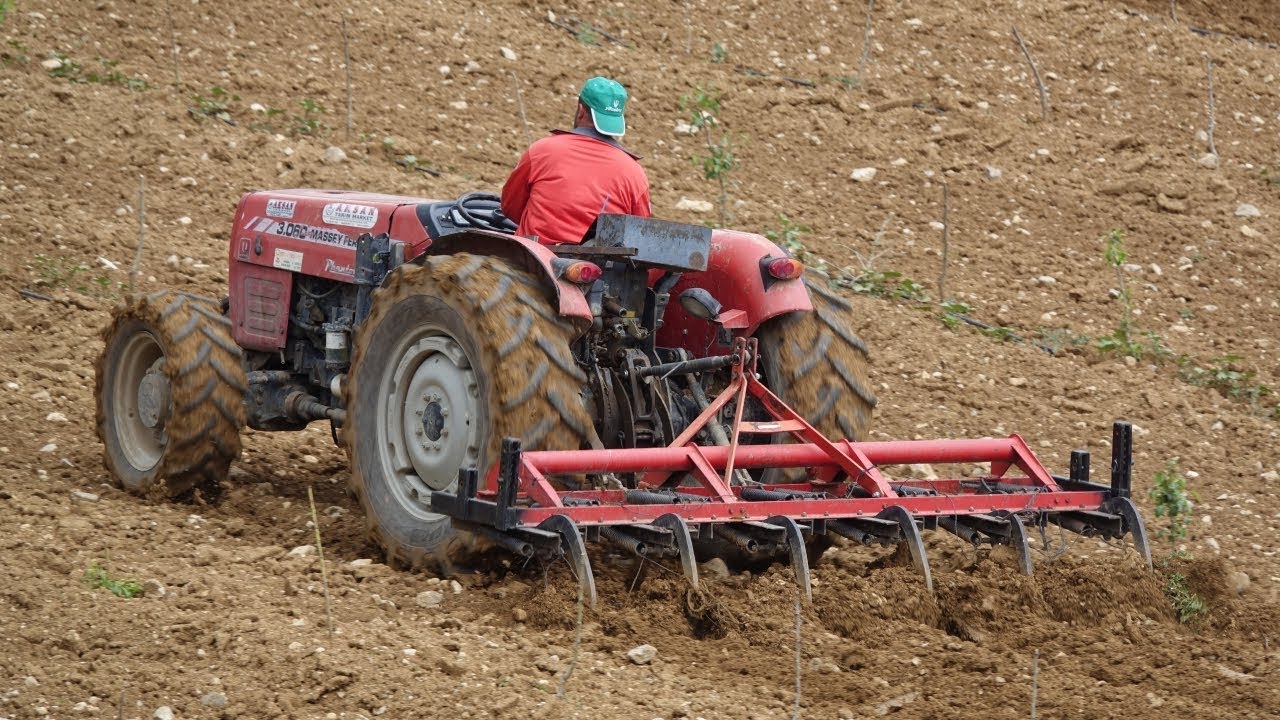 Bu Traktör Bahçe İşlerinde Çok İyi - MF 3.060