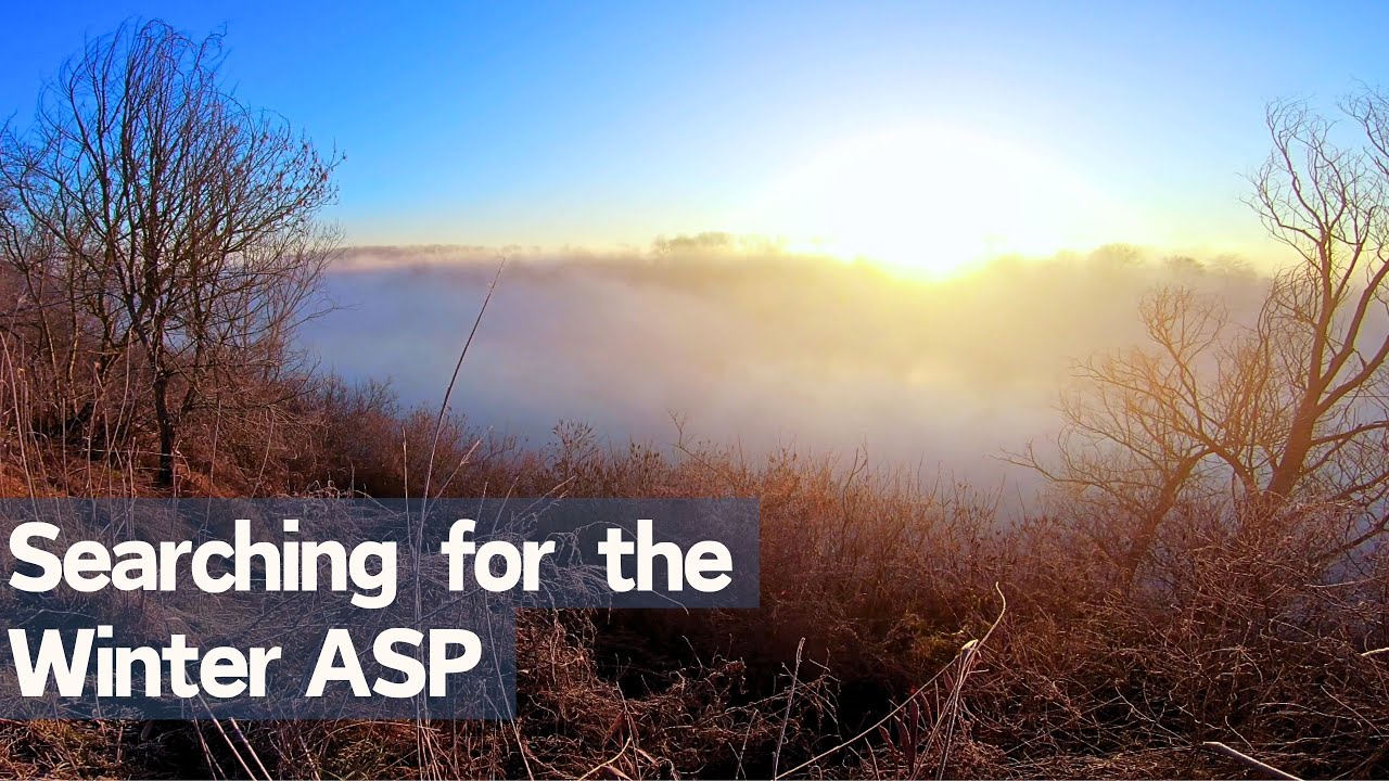 Spinning for the Winter ASP on Po River