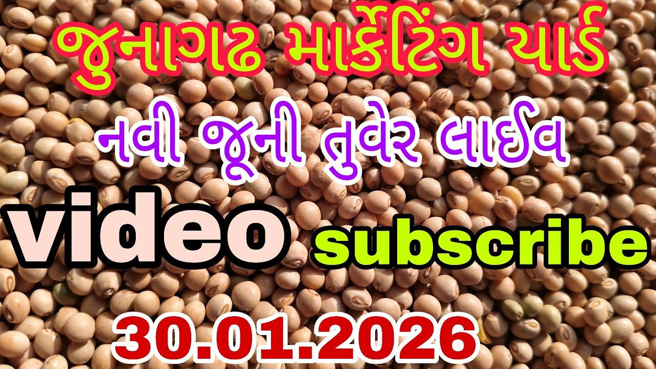 જુનાગઢ માર્કેટિંગ યાર્ડ લાઈવ ભાવ નવી તુવેર ના બજાર શુક્રવાર 30.01.2026 / junagadh marketing yard 