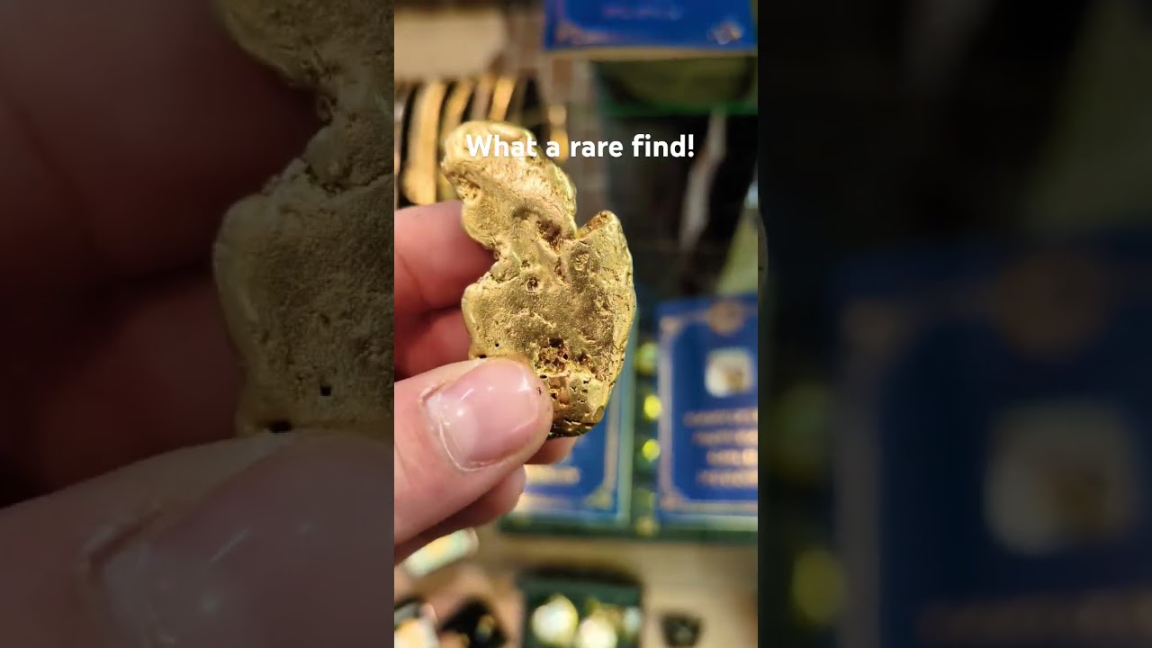 The $10,000 Gold Nugget. | Yukon territory natural gold nugget | #gold #goldnugget #goldmine