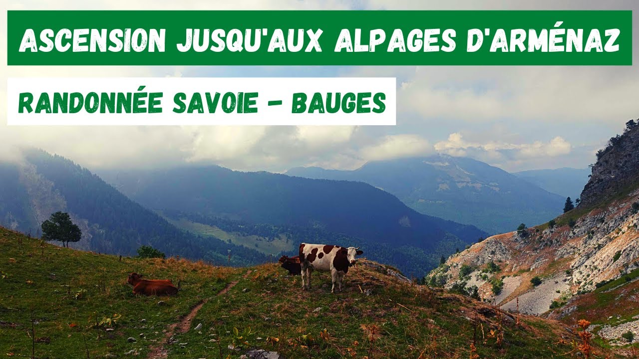 Chapelle Notre-Dame de Bellevaux et alpages d'Arménaz - Randonnée Savoie - Bauges (27 août 2022)