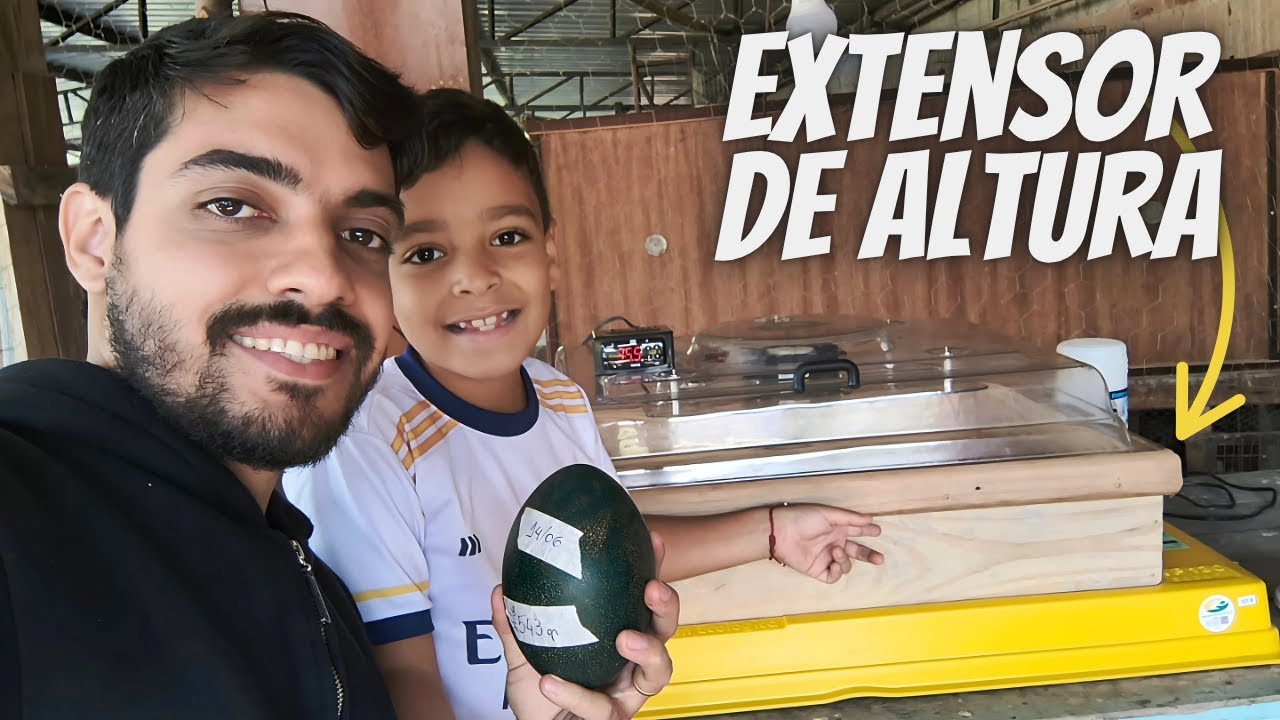 Adaptando a Chocadeira para chocar ovos de Emu Australiano