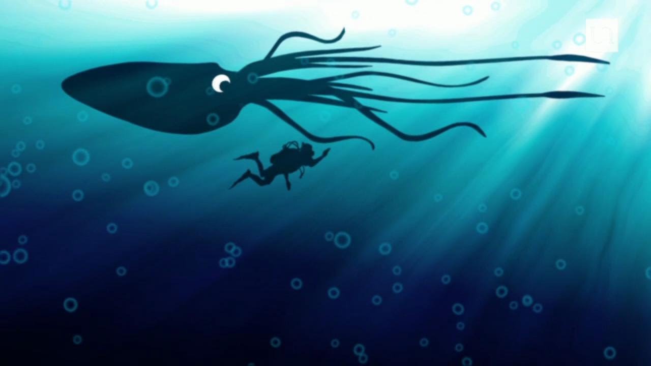 Le grand Kraken existe-t-il ?