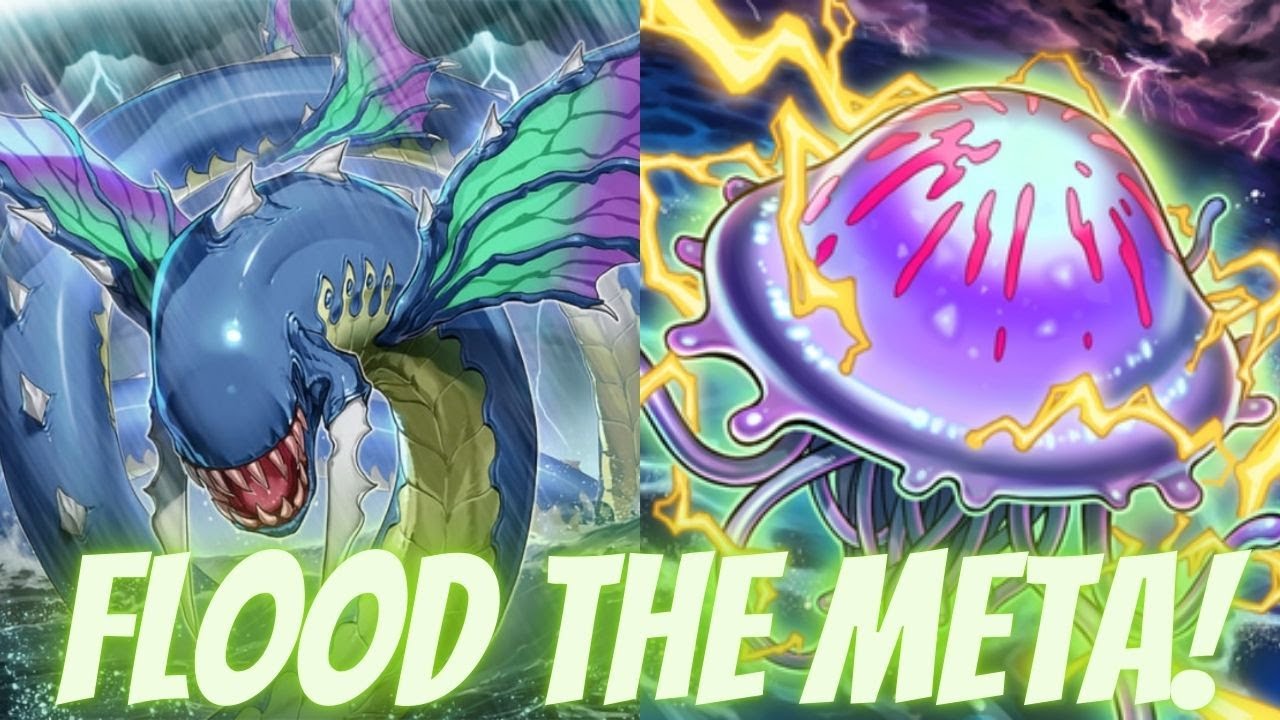Umi Control Floods The Meta! Yugioh Master Duel