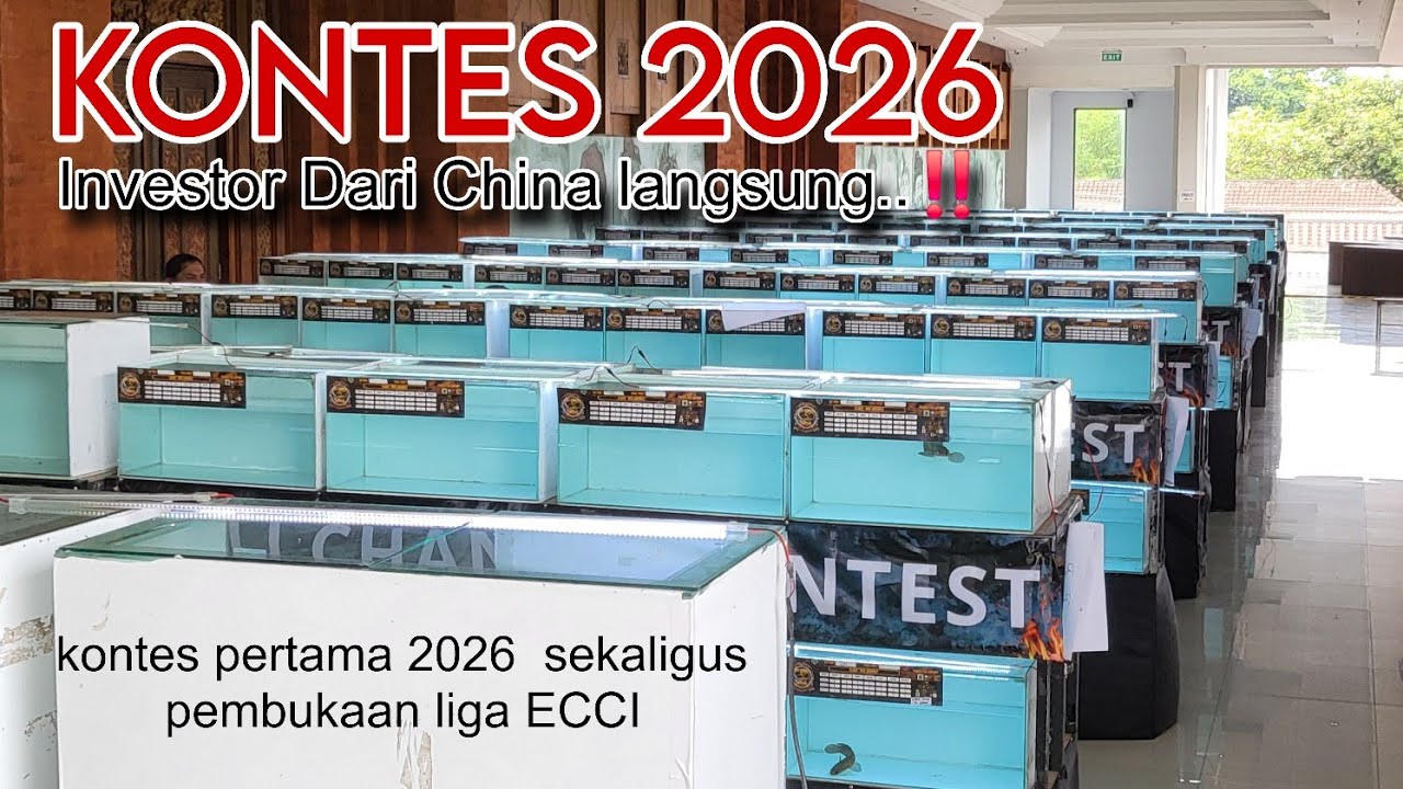 PERDANA KONTES CHANNA 2026 DI BALI ‼️