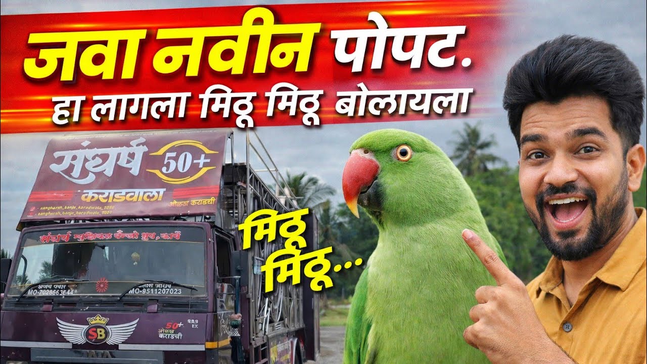 संघर्ष बॅन्जो कार्वे 🔥 साँग: जवा नवीन पोपट लागला मिठू मिठू बोलायला शो केर पाटण 💯