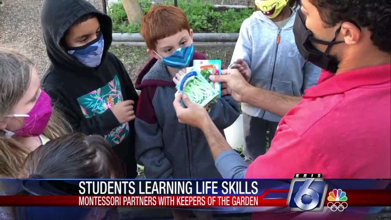 Kids learning sustainable life skills at local school