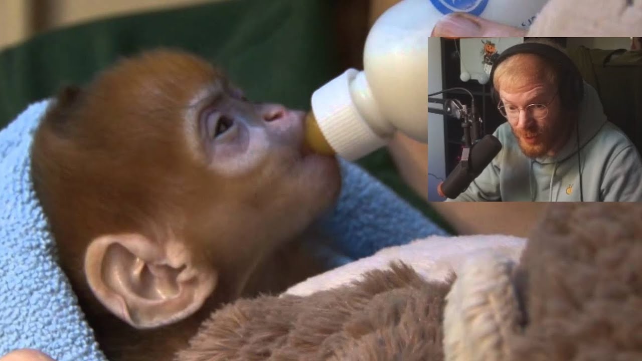 TommyKay's New Breeding Program Started