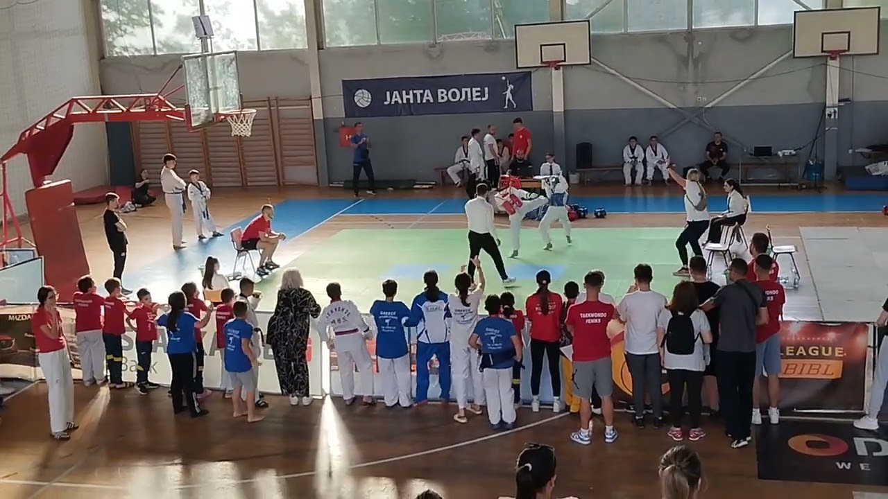 Damjan Vasilevski vs Nikolaos Gkekas  -41 Kadets Taekwondo Korio open.